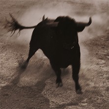 Carmen - Semperoper Dresden