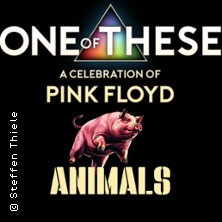 One Of These &ndash; A celebration of Pink Floyd / Animals-Tour 2026