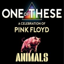 One Of These &ndash; A celebration of Pink Floyd / Animals-Tour 2026