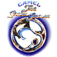 Camel