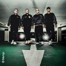 Die Fantastischen Vier