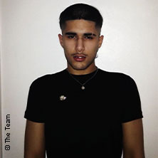 fakemink