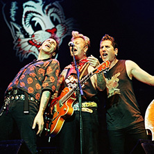 Stray Cats
