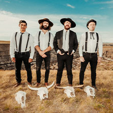 Merck Sommerperlen: The Dead South