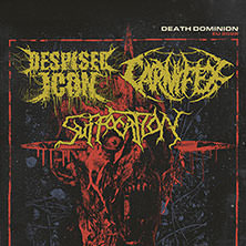 Despised Icon