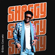 Shaggy