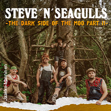 Steve 'n' Seagulls