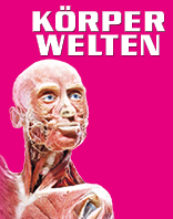 K&Ouml;RPERWELTEN